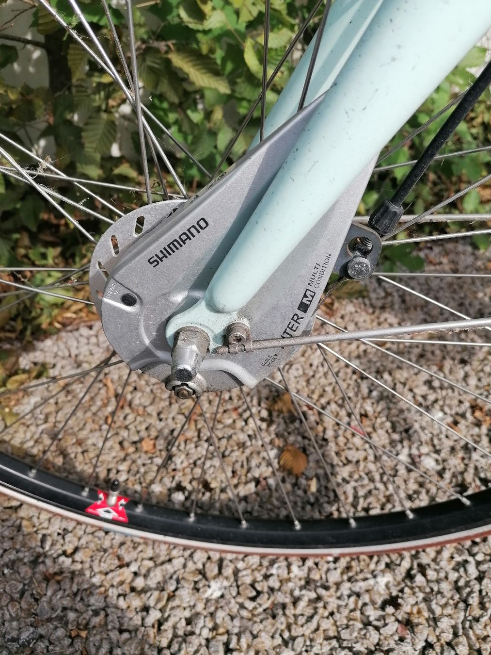 Biciclette: Velo Damen Ortler – Usato da Olten venduto da flavibavi 8