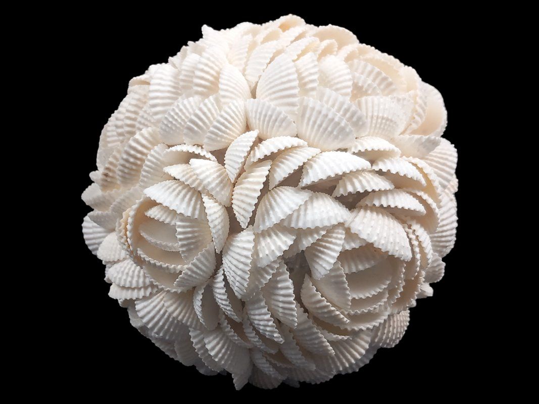 Tutte le decorazioni: Muschelkugel Rosenmuster – Usato da Hünenberg venduto da Restwert_Zug 4