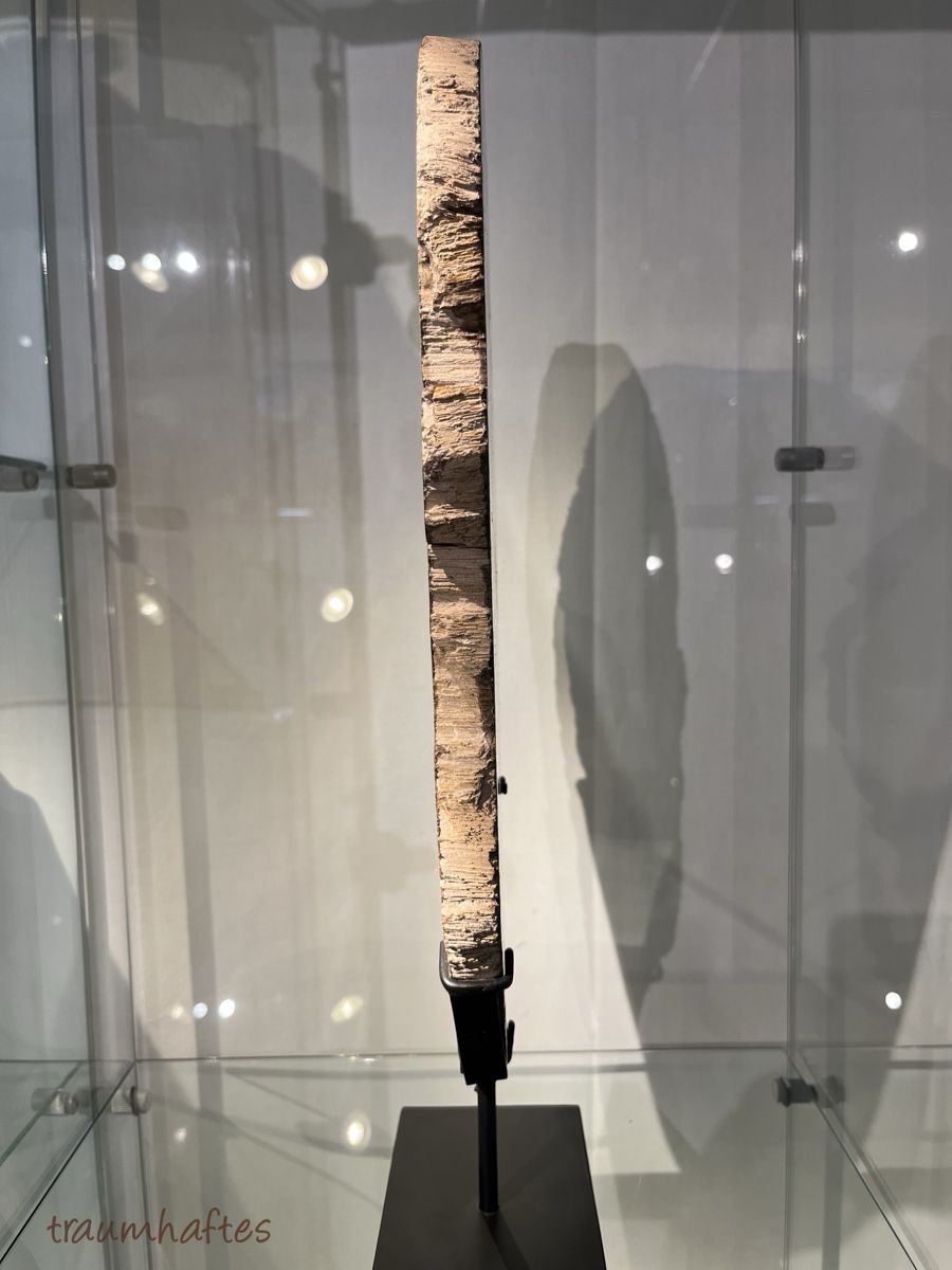 Fossili: Versteinertes Holz - Baumscheibe mit Ständer - Unikat  – Nuovo e nell'imballaggio originale da Thun venduto da Traumhaftes 2