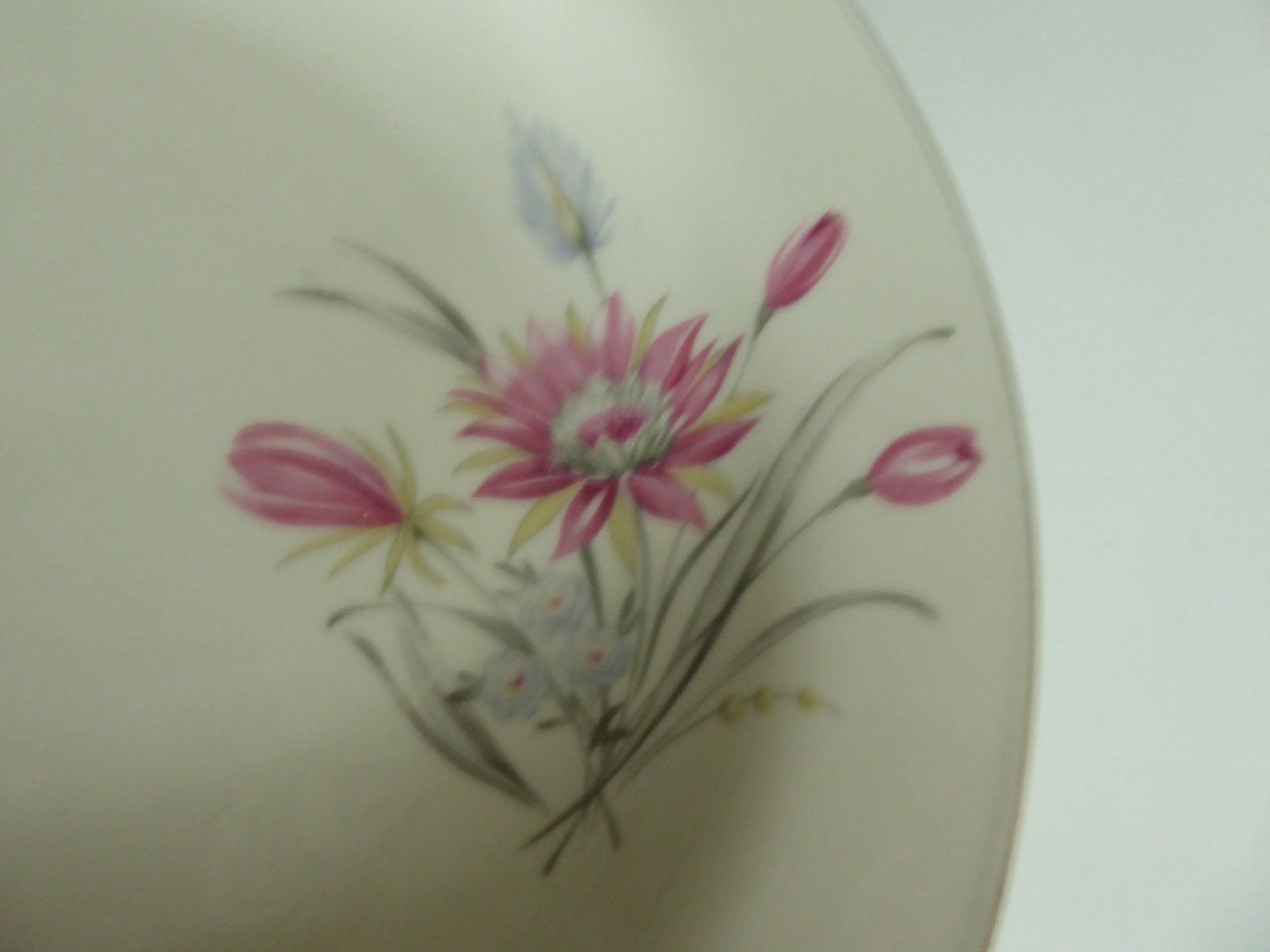 Assiettes: 2 verschieden grosse Teller Bavaria – D'occasion à Zürich par Chaeffeler 2