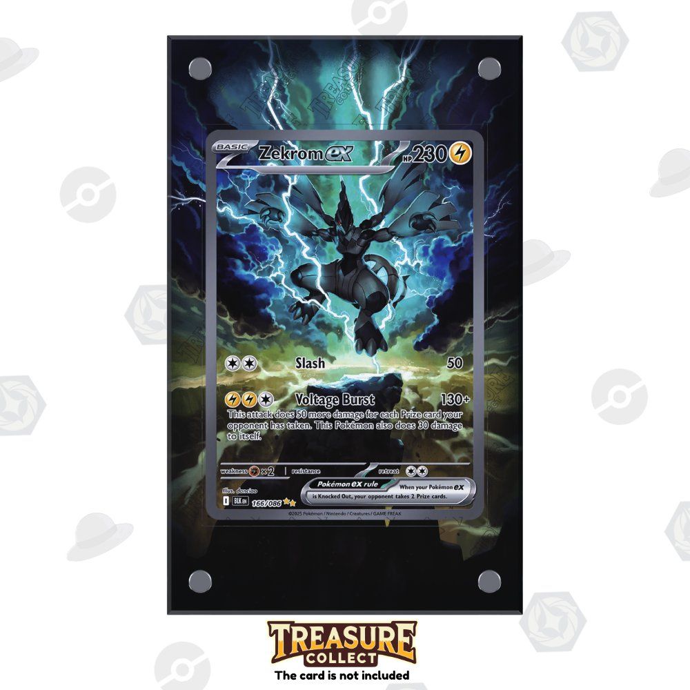 Pokémon Carte collezionabili: Zekrom ex 166/086 - Pokémon Extended Artwork Display Case – Nuovo e nell'imballaggio originale da Canobbio venduto da TreasureCollect