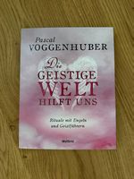 Pascal Voggenhuber  Die geistige Welt hilft uns