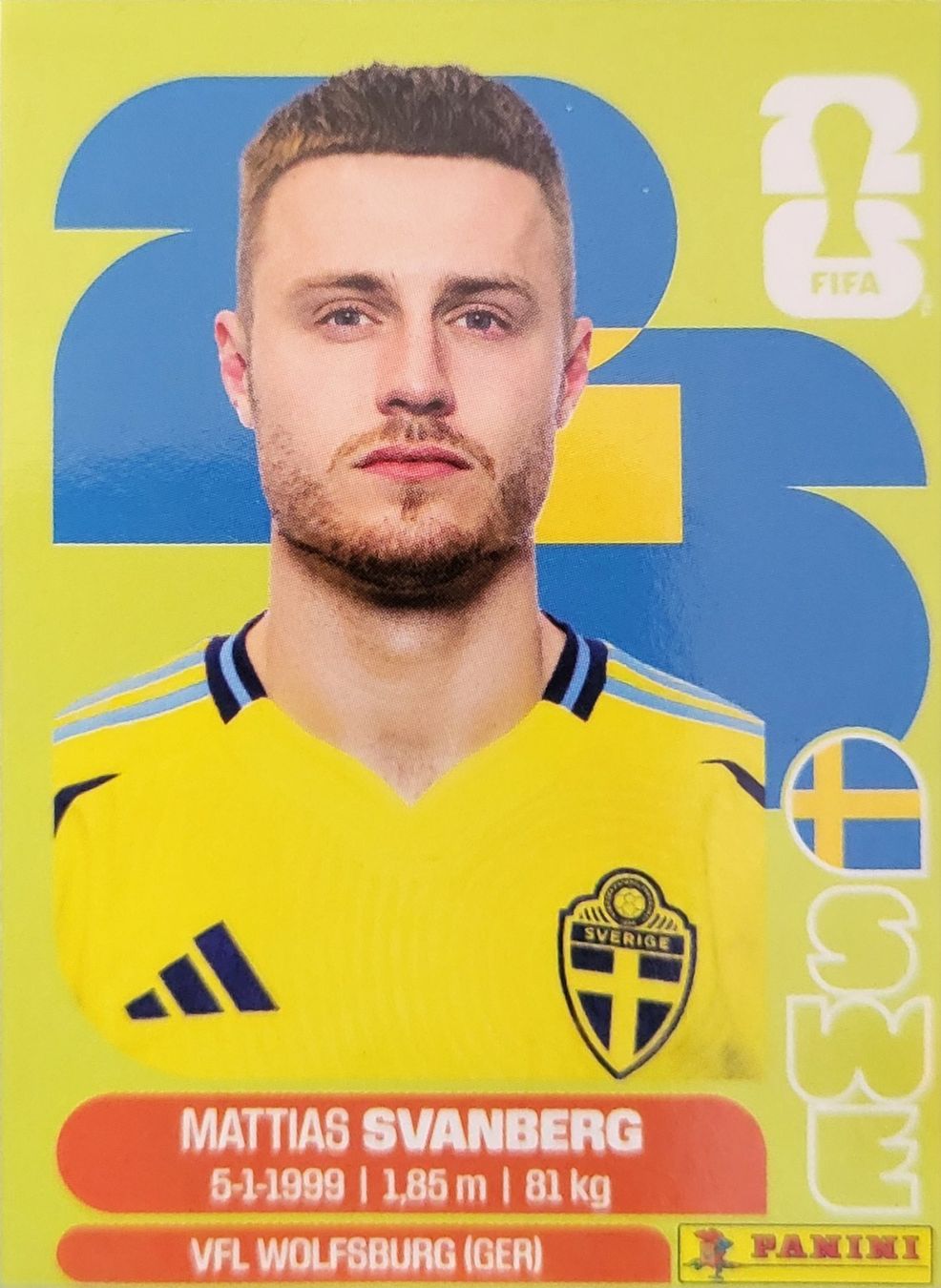 Panini Sammelbilder & Trading cards: Panini FIFA World Cup SWE 12 – Neu (gemäss Beschreibung) aus Wallisellen von never_give_up