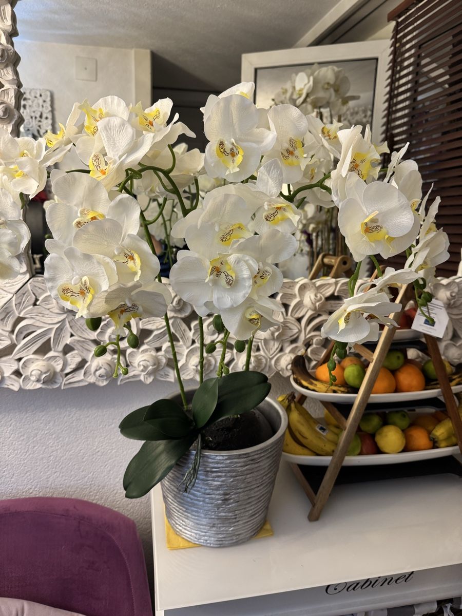 Alle Dekorationen: Künstliche Orchideen New – Neu (gemäss Beschreibung) aus Zürich von Privat4444 3