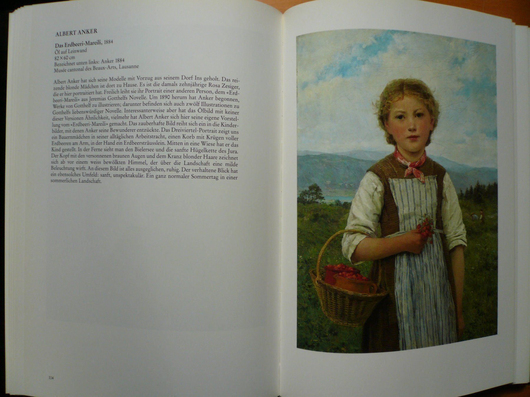 Libri: Kunst - Schweizer Malerei – Nuovo (secondo la descrizione) da Brunnadern venduto da lesezirkel 5