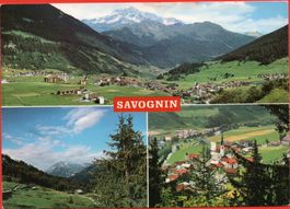 SAVOGNIN