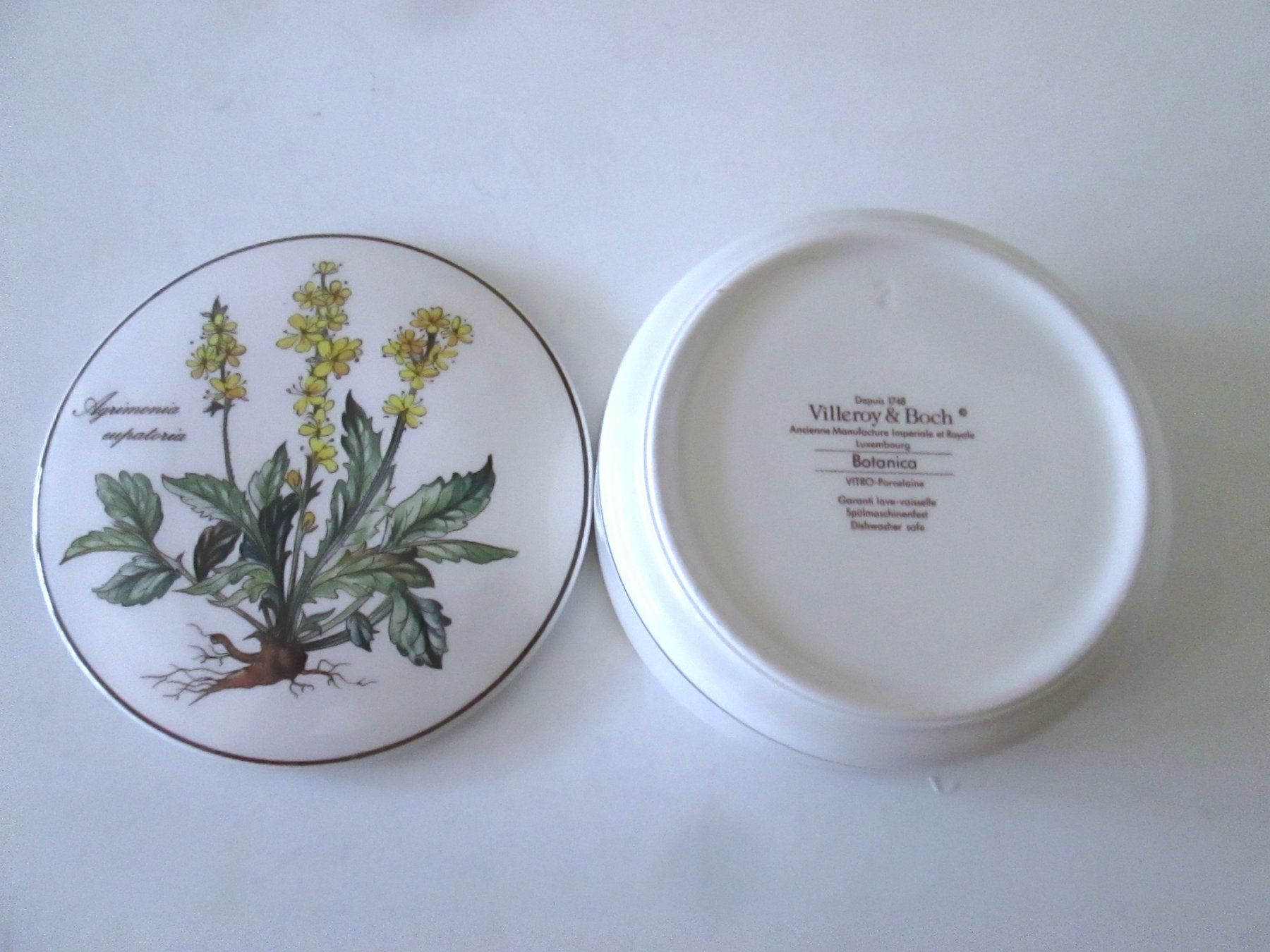Villeroy & Boch Tutte le decorazioni: Dose Villeroy und Boch – Usato da Sementina venduto da babucia 2