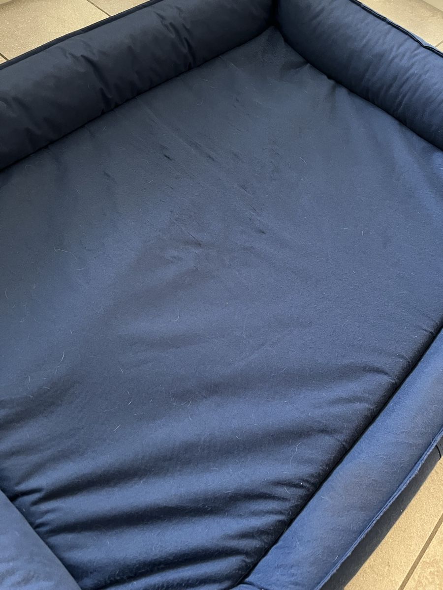 Liege- & Schlafplätze: Hundebett orthopädisch Goofy – Gebraucht aus Betschwanden von Dognose 1