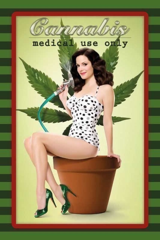 Insegne: Blechschild-CANNABIS MEDICAL USE ONLY GI – Nuovo e nell'imballaggio originale da Rupperswil venduto da big-one-sale