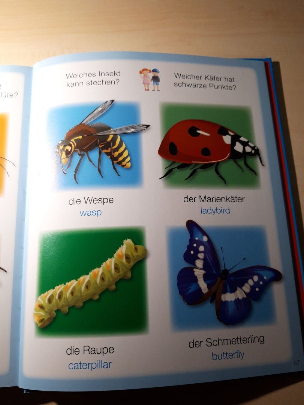 Libri: Wörterbuch Deutsch-Englisch – Usato da Egliswil venduto da Cracky81 3