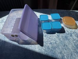 Frische Aufbewahrungsboxen mit Deckeln – perfekt für den ...