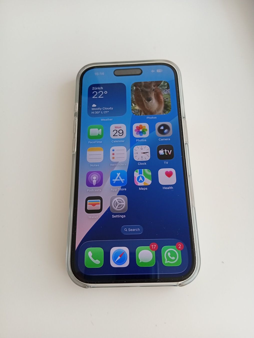 Apple Telefoni cellulari / Smartphones: iPhone 16 mit Apple MagSafe und Privacy Screen – Usato da Zürich venduto da flo_2h5w 1