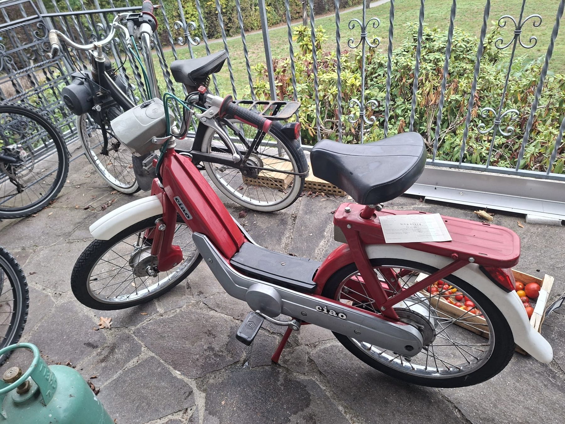 Piaggio Ciclomotori: Mofa ciao rot – Usato da Dietikon venduto da jor_sw7j 8