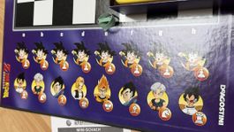 Dragon Ball Z Schach 2 Figuren fehlen und Anleitung ist da 