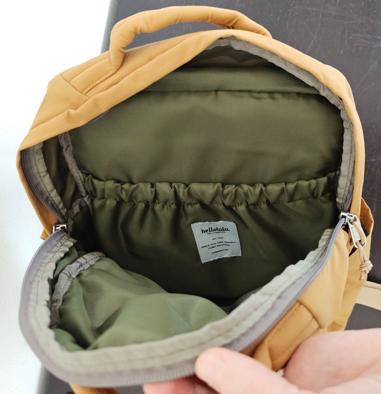 Sacs à dos: NEW Hellolulu Mini Carter Backpack (Toffee) – Neuf (Voir description) à Origlio par ann_q6qv 8