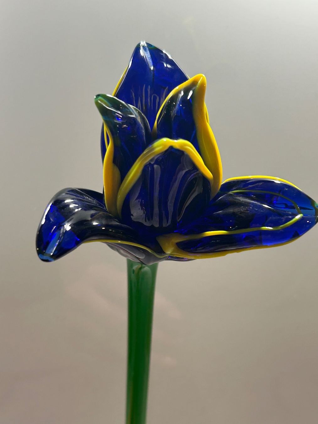 Verres: Glasblume im Murano-Stil Iris – D'occasion à Basel par toy_t8bb