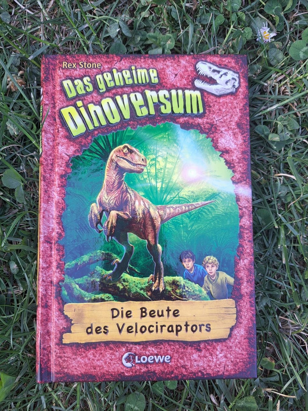 Libri: das geheime Dinoversum – Usato da Dachsen venduto da Mickymausi