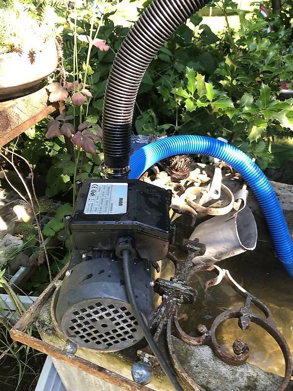 Pompe & Parti di ricambio: Wasserpumpe für Pool – Difettoso da Gossau SG venduto da Yoto 3