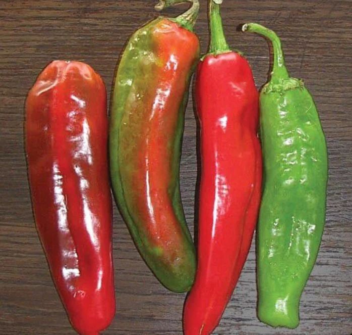 Pflanzen & Samen: Anaheim Chili - Capsicum annuum - 40 Samen – Neu und originalverpackt aus Sumiswald von Cham14559 1
