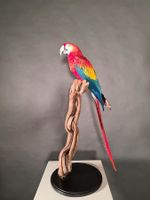 Ara Macaw, Panama - Tierpräparat - Cruelty Free