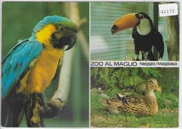 Zoo al Maglio - Magliaso - Papageien