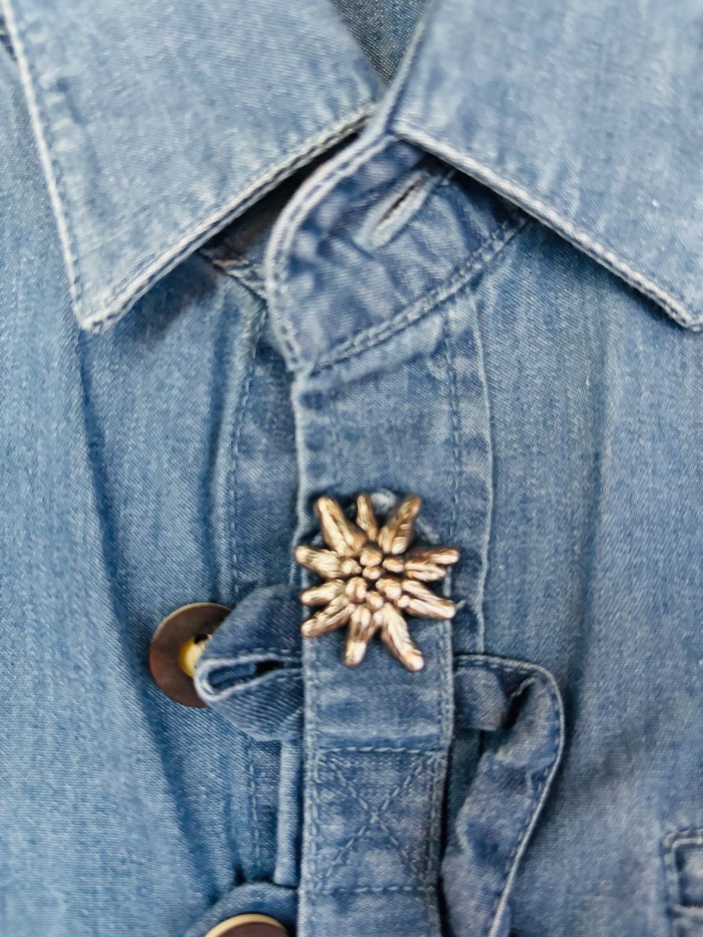 Camicie, T-shirt & Polo: Edelweiss Trachtenhemd, Grösse 104 – Usato da Siebnen venduto da nera007 3