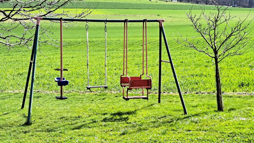 Kinderschaukel Garten Kaufen auf Ricardo