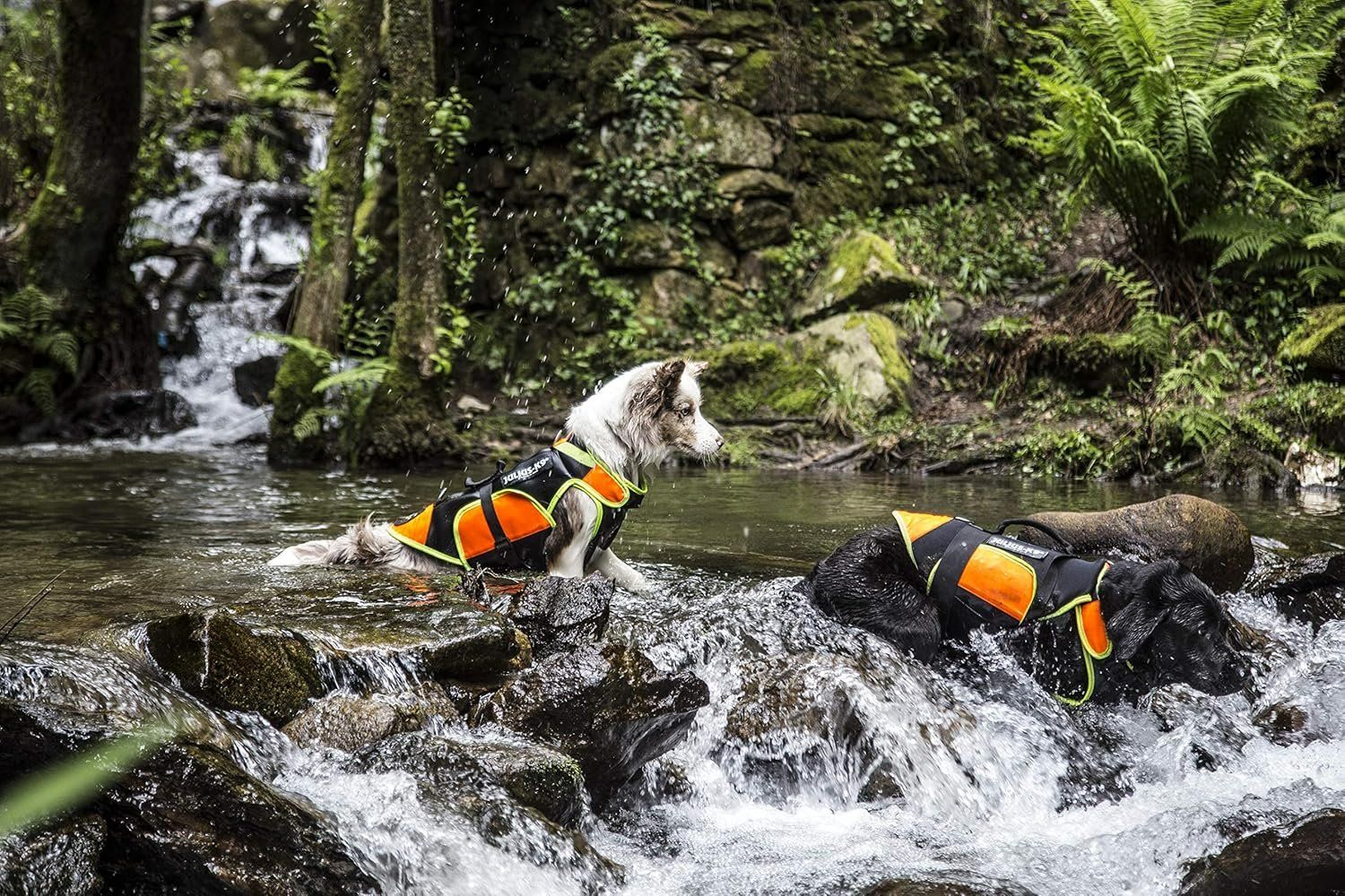Gilets de sauvetage: Julius-K9, IDC Multifunktionale Hundeschwimmweste, Größe: M – Neuf avec emballage d'origine à Altishofen par Cawake 4
