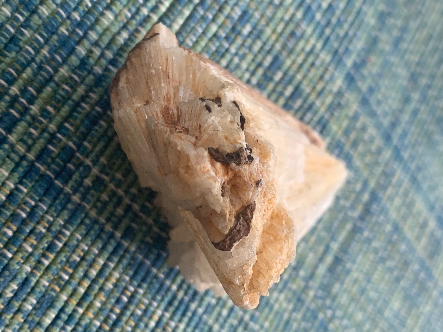 Fossili: Interessantes Mineral? – Usato da Basel venduto da Akinom50 2