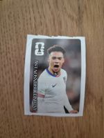 Panini WM 2026 Coca Cola Sticker Antonee Robinson