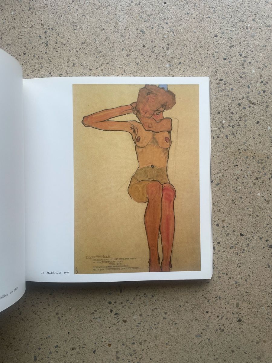 Libri: Egon Schiele – Usato da Zürich venduto da syber98 4