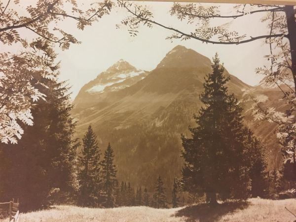 Poster & Bilder: Alte Foto von Albert Steiner. – Gebraucht aus Lanzenhäusern von vic63 8
