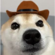 Profile image of Benaja_T