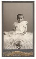 Fotografie Lienhard, Salzborn, Chur, Kle