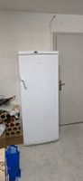 Elektrolux Gefrierschrank SG2510