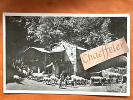 1956 Tell Freilichtspiele Interlaken Alpabzug