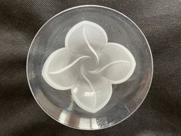 Dessertgeschirr Glas