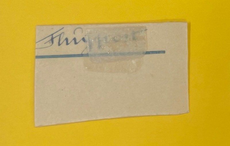 Tutti i francobolli: Flugpost Nr. 7 gestempelt auf Papierstück – Usato da Sirnach venduto da Melisangi 2