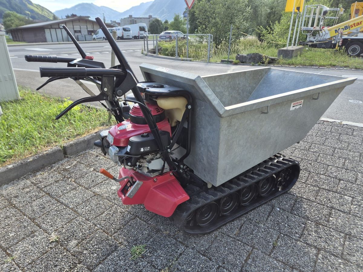 Honda Alle Maschinen: Raupentransporter – Gebraucht aus Stans von winternight 4