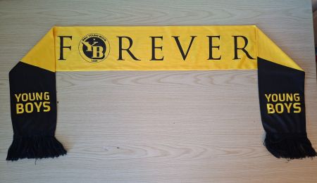 YB Young Boys Schal Forever, guter Zustand