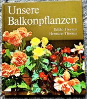 Unsere Balkonpflanzen