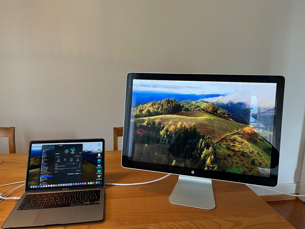 Apple LED Cinema Display 24