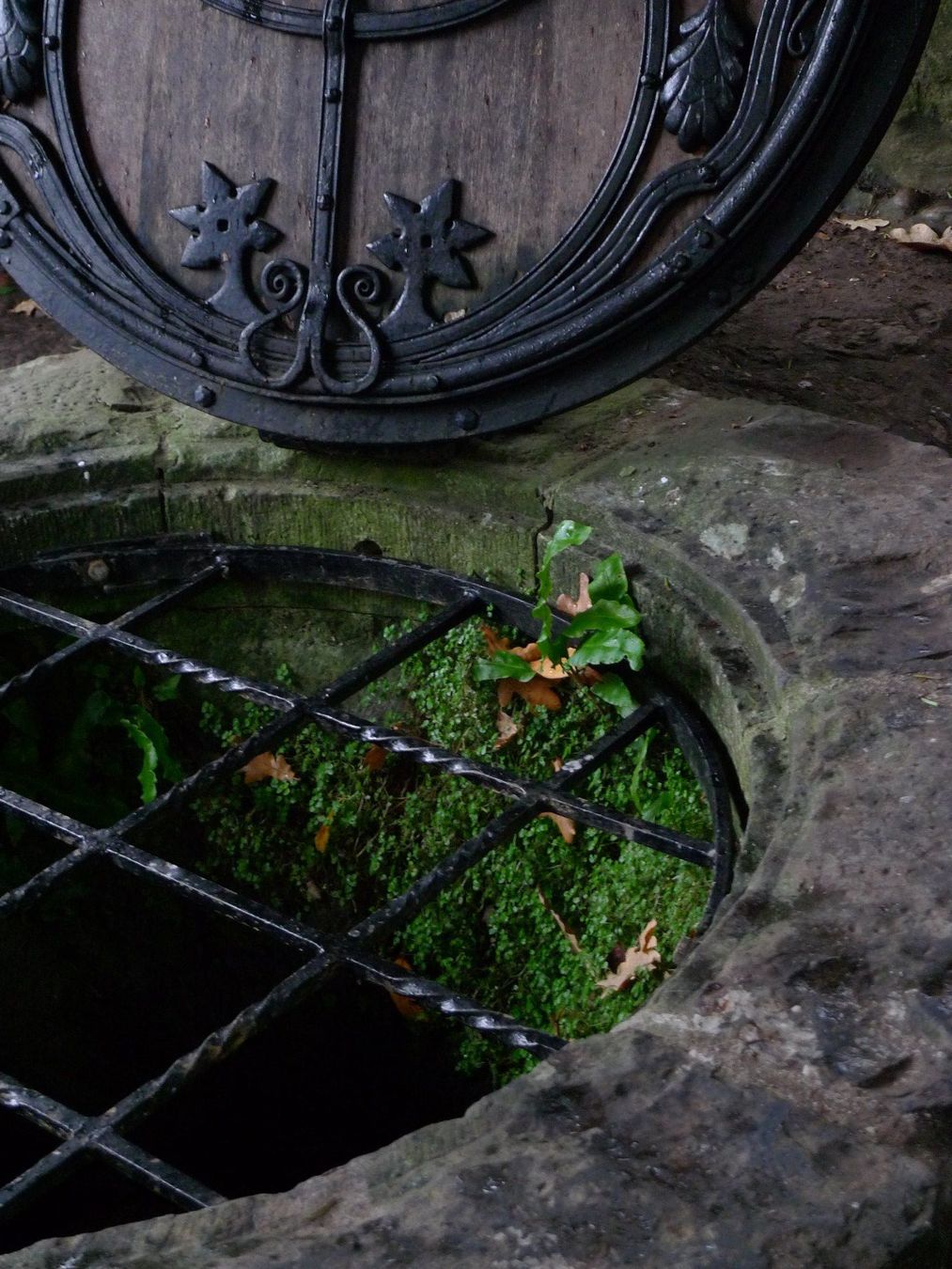 Cartoline postali: Chalice Well Glastonbury Energiekarten – Nuovo e nell'imballaggio originale da Schaan venduto da Jtd 4