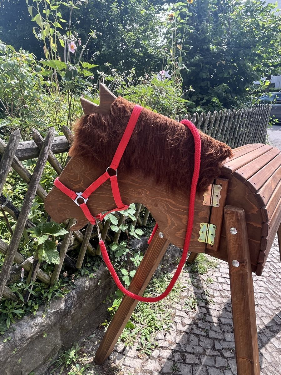 Jouets: Holzpferd, benutzt, war nie Draussen! – D'occasion à zuerich par luc_5snr 3