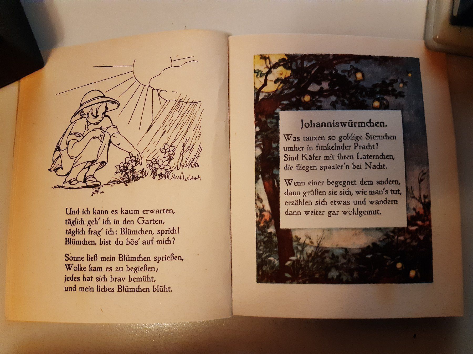 Bücher: Kindergedichte Das Jahr hindurch v. Hoffmann v. Fallersleben – Gebraucht aus Basel von Luge 2