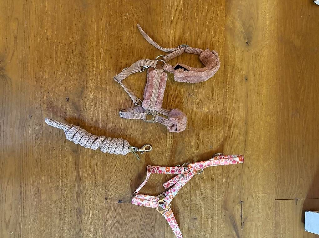 Briglie & Cavezze: Halfter mit Strick, Mini Pony – Usato da Sarnen venduto da ssc_2tq7