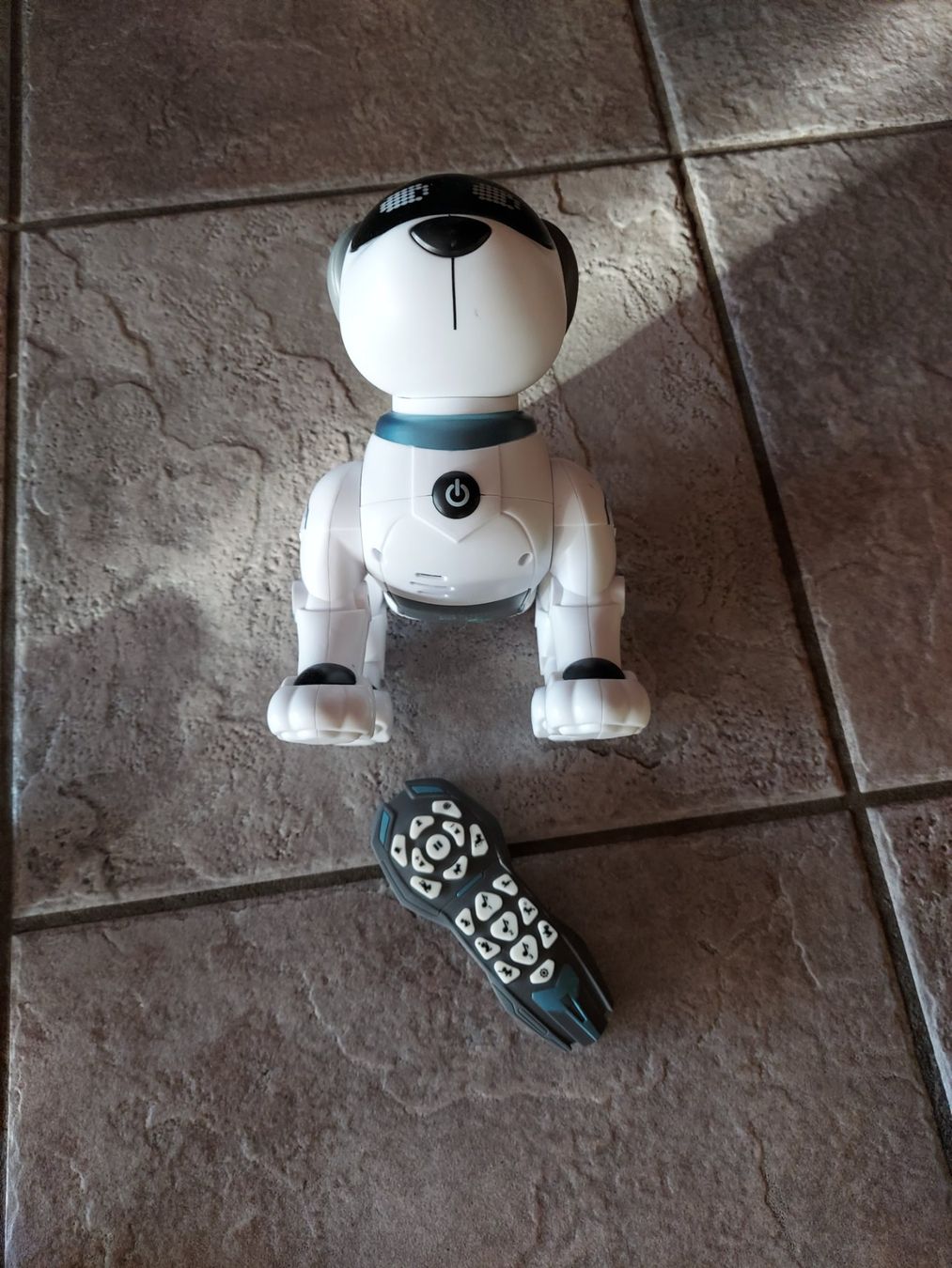 Giocattoli: Roboterhund mit Fernbedienung – Usato da Neuenegg venduto da RESI06 4