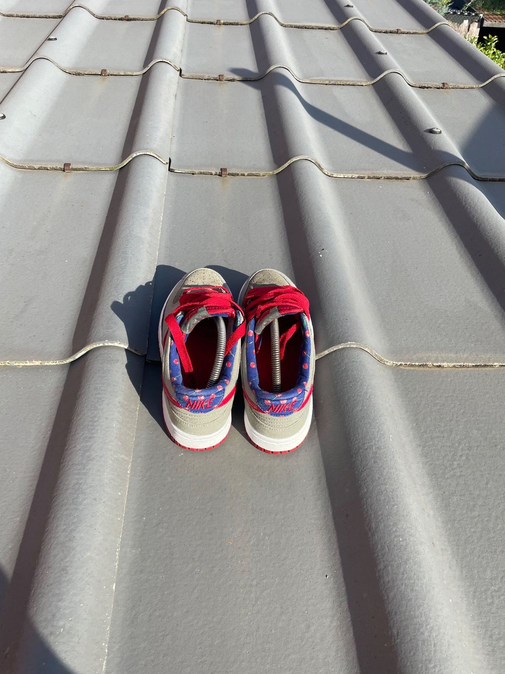 Nike Scarpe da uomo: Nike Dunk – Nuovo (secondo la descrizione) da Dompierre FR venduto da matmath 3