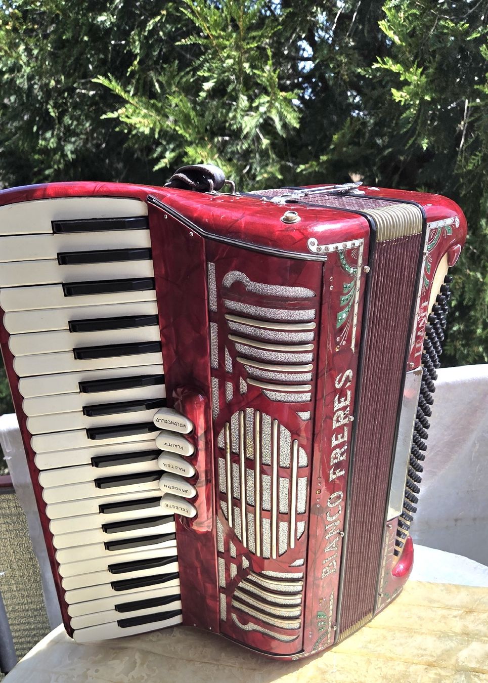 Instruments de musique: Accordéon Bianco Frères  – D'occasion à Penthalaz par EvandroLuz 1