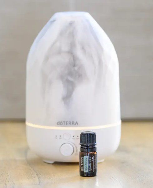 Doterra Oli essenziali: doTERRA Black Spruce ätherisches Öl 5ml – Nuovo e nell'imballaggio originale da Olten venduto da Duft-Atelier-Schweiz 1